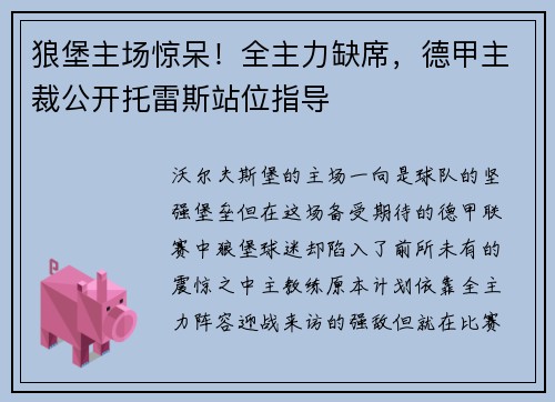 狼堡主场惊呆！全主力缺席，德甲主裁公开托雷斯站位指导